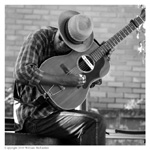 Guy Davis