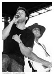 Blue County -- click for gallery