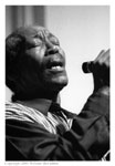 Willie 'Big Eyes' Smith -- click to enlarge